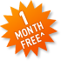 12 months plan & get 1 month free